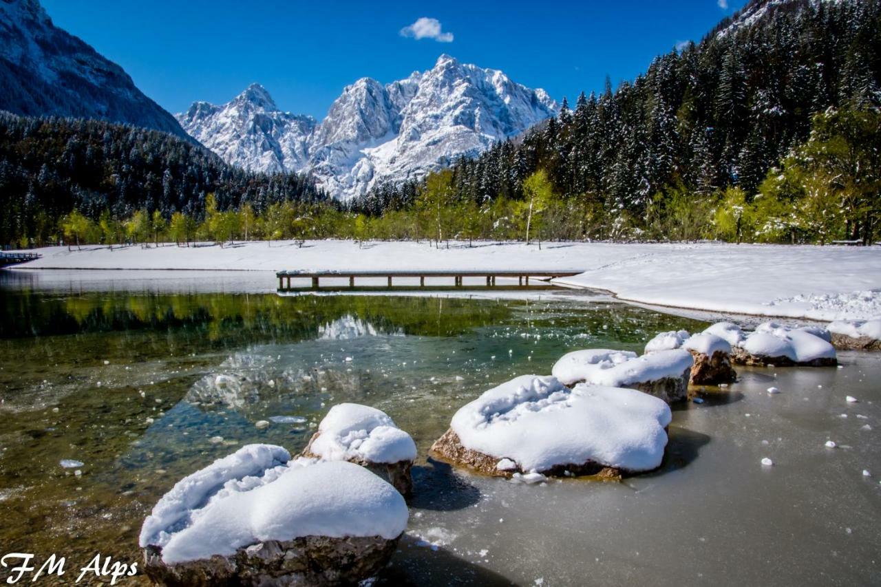 Appartamento Mountain Charm Kranjska Gora Esterno foto